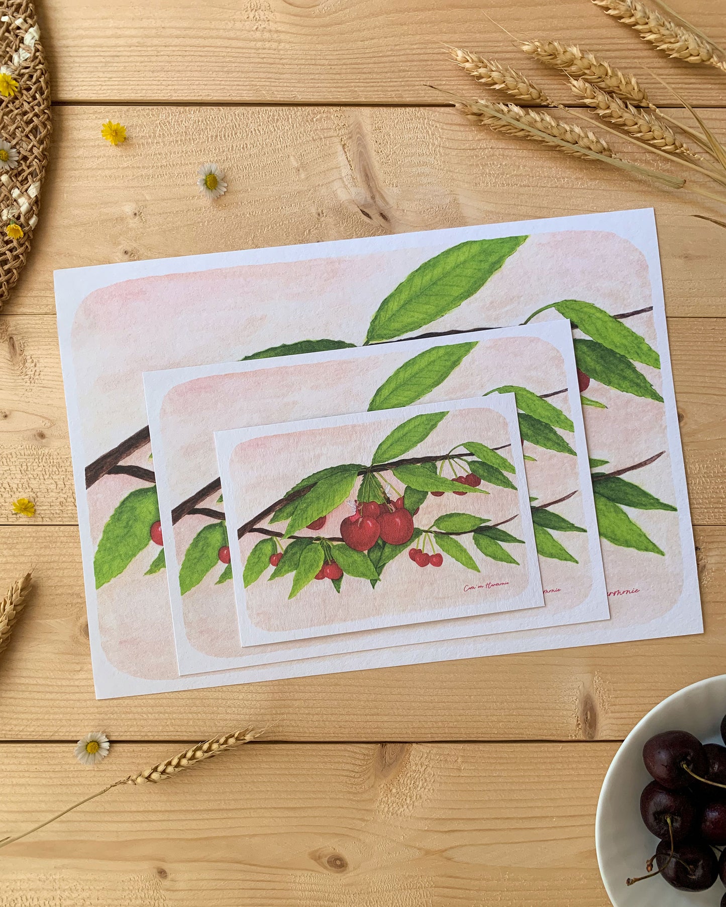 AFFICHE A4 - DANS LE CERISIER