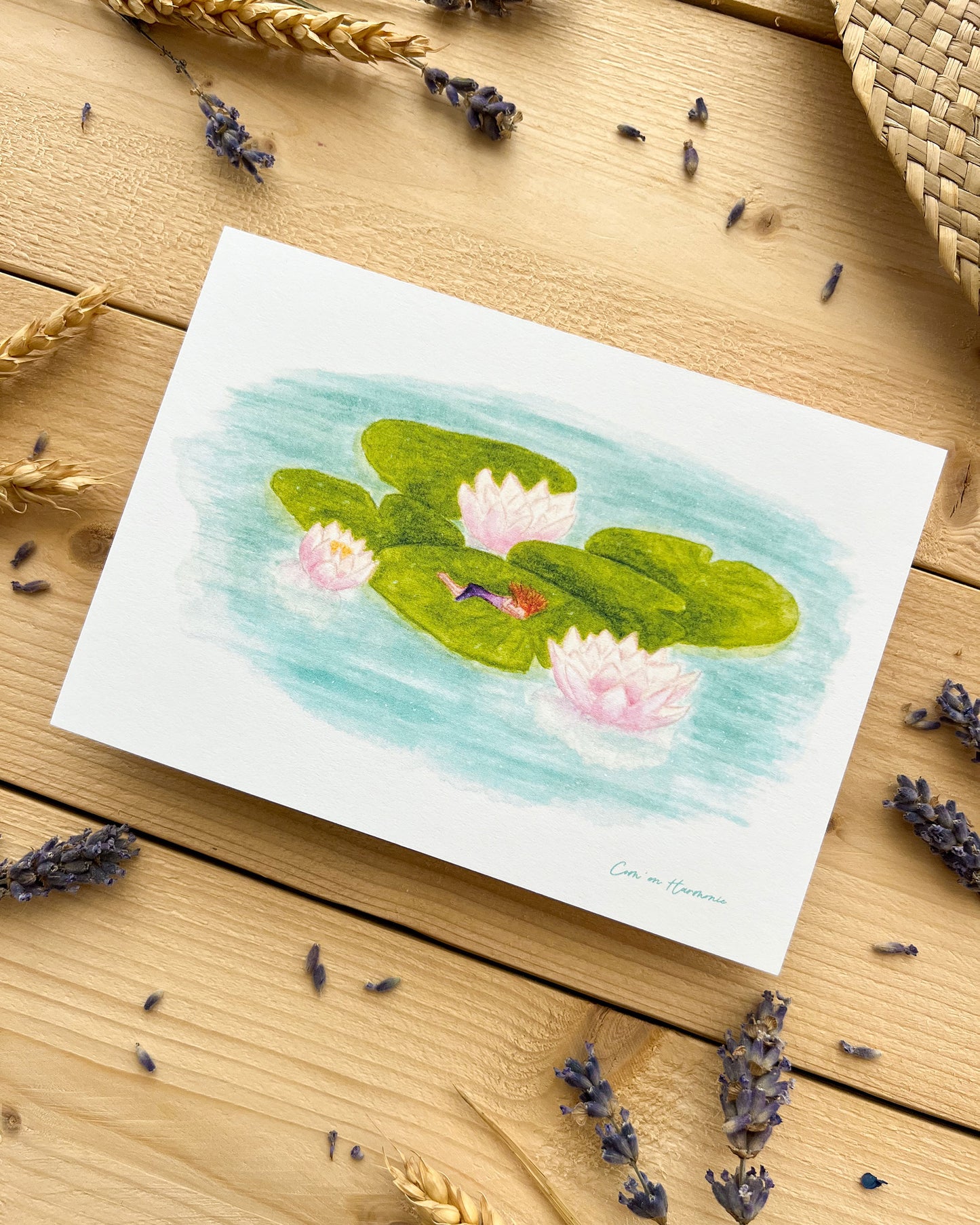 CARTE - AQUA SIESTE
